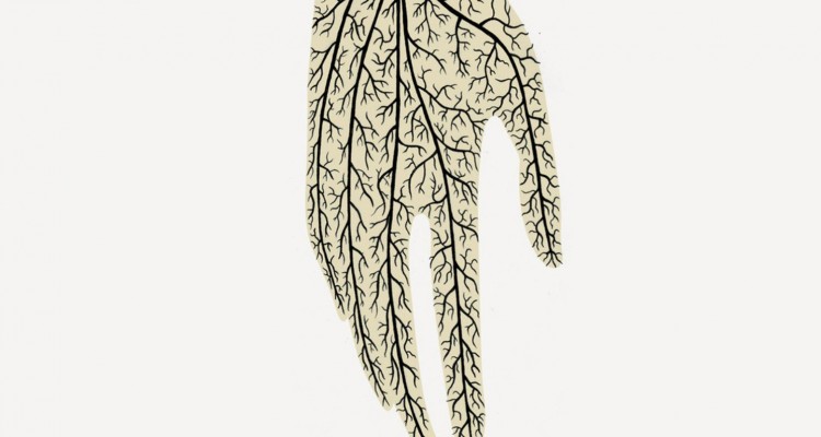 Fontarabie