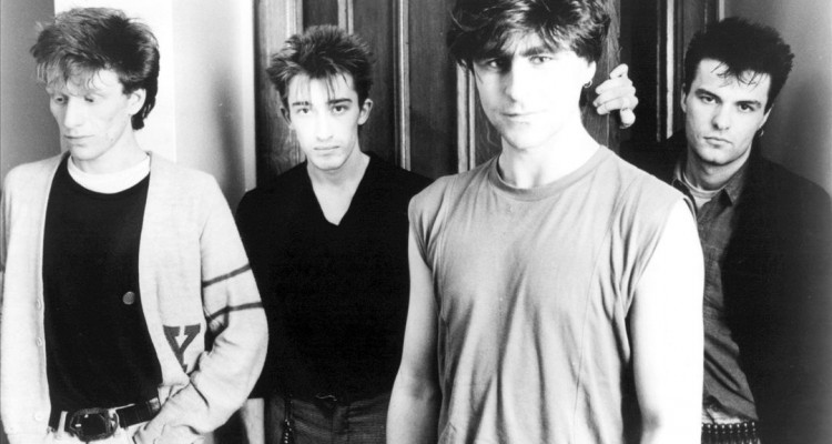 chameleons-uk-photo