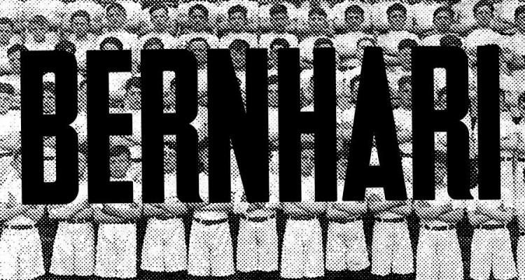 bernhari-logo