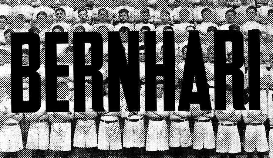 bernhari-logo