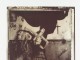 pixies surfer rosa