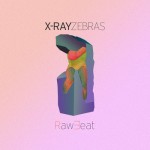 x-ray-zebras