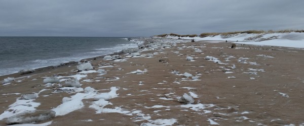 florent-vollant-hiver