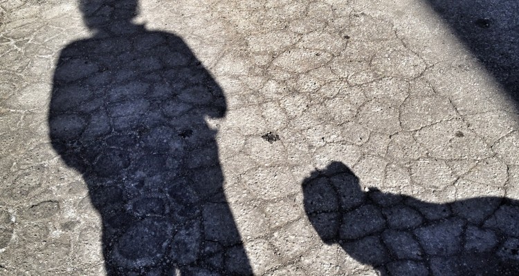 evan newman shadow