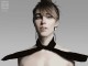 feist 2011