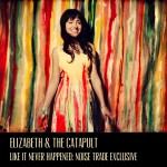 original-noise-trade-cover-art-elizabeth--the-catapult