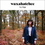 top2015_waxahatchee