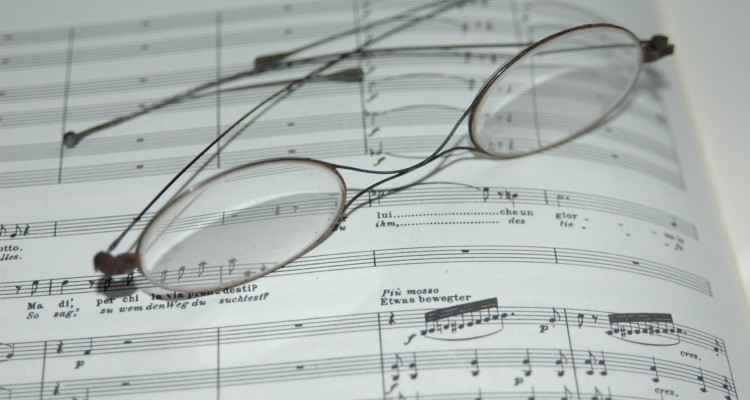 partition lunettes