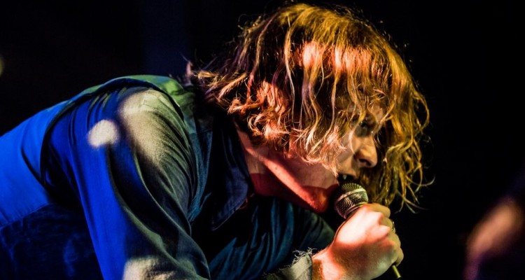 ty segall 2016