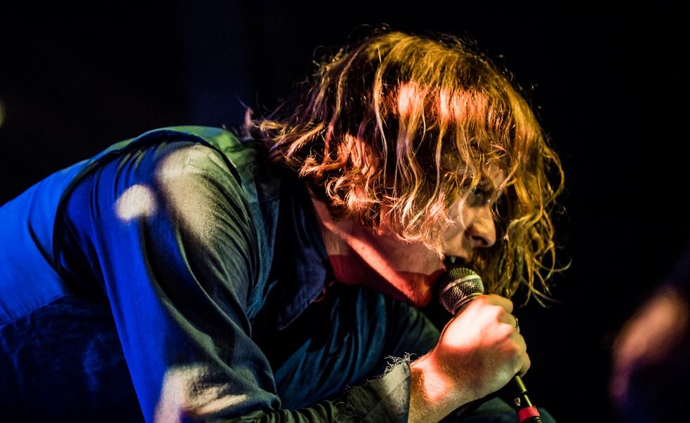 TY SEGALL – The Strange Animal