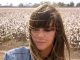 cat power covers record
