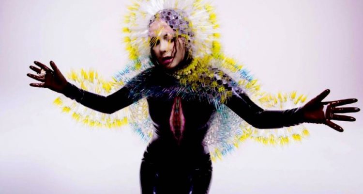 bjork vulnicura pic