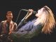 the kills live 2016 alison mosshart