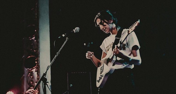 common holly live