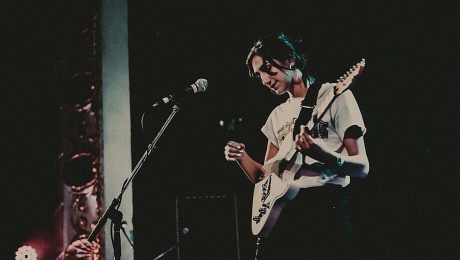common holly live