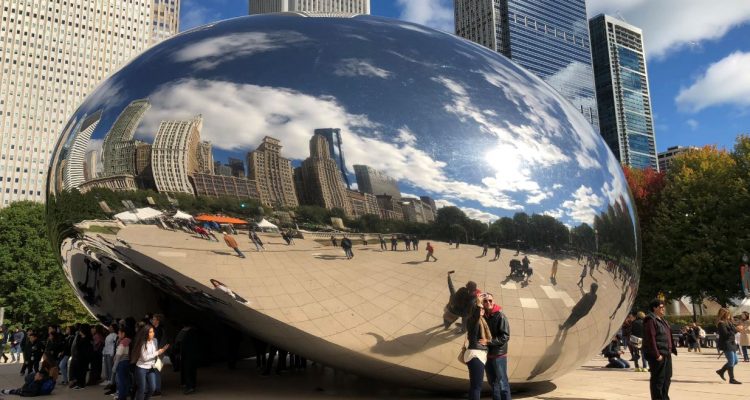 chicago bin